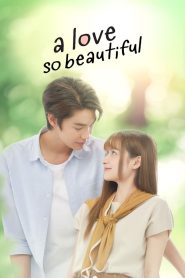 A Love So Beautiful (2024)